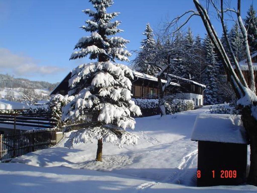 Relax Pension U Nosku Smržovka Oda fotoğraf